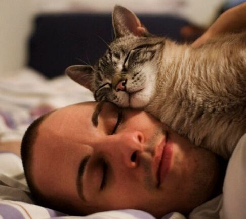 sleep with cats as a cause of parasitic infection